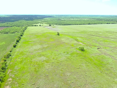Great 178.09 plus Acres on the Coleman, Callahan County Line - image 7