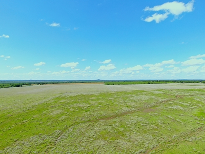 Great 178.09 plus Acres on the Coleman, Callahan County Line - image 11