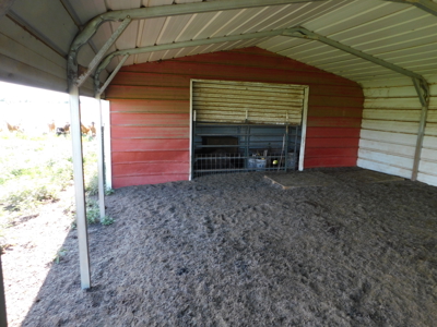 Great 178.09 plus Acres on the Coleman, Callahan County Line - image 32