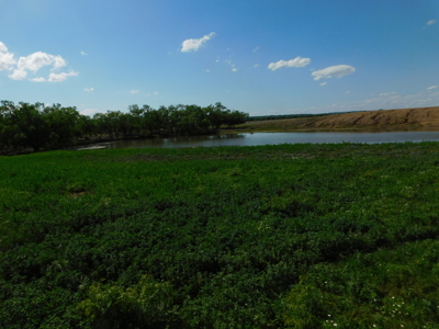 Great 178.09 plus Acres on the Coleman, Callahan County Line - image 35