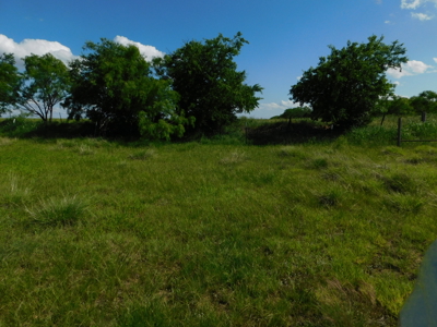 Great 178.09 plus Acres on the Coleman, Callahan County Line - image 28