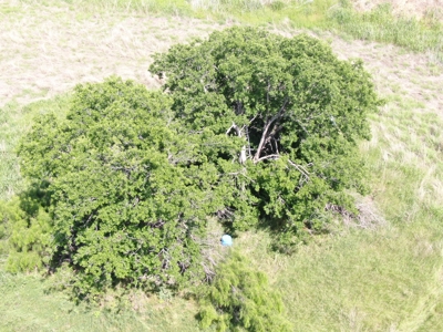 Great 178.09 plus Acres on the Coleman, Callahan County Line - image 14