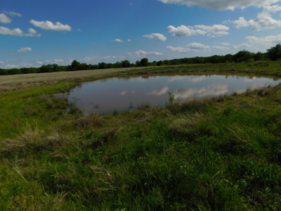 Great 178.09 plus Acres on the Coleman, Callahan County Line - image 29