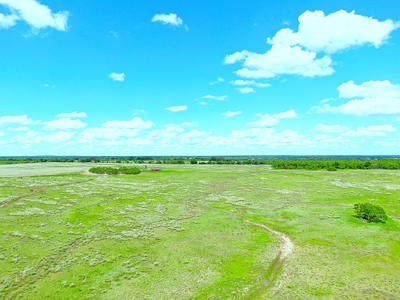 Great 178.09 plus Acres on the Coleman, Callahan County Line - image 10