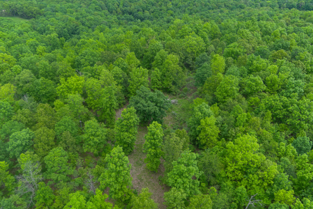 Unbelievable Hunting, And Recreational Property In Western Ripley - image 16