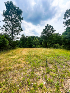 Unbelievable Hunting, And Recreational Property In Western Ripley - image 35