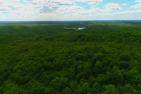 Unbelievable Hunting, And Recreational Property In Western Ripley - image 20