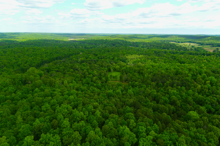 Unbelievable Hunting, And Recreational Property In Western Ripley - image 23