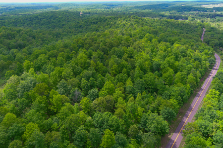Unbelievable Hunting, And Recreational Property In Western Ripley - image 13