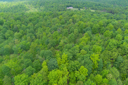 Unbelievable Hunting, And Recreational Property In Western Ripley - image 18