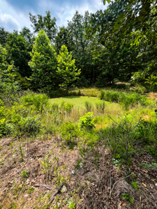 Unbelievable Hunting, And Recreational Property In Western Ripley - image 37