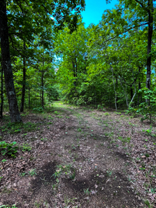 Unbelievable Hunting, And Recreational Property In Western Ripley - image 7