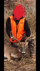 Unbelievable Hunting, And Recreational Property In Western Ripley - image 33