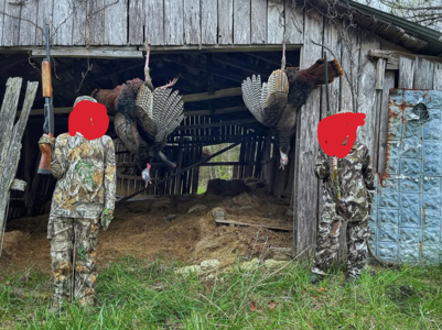 Unbelievable Hunting, And Recreational Property In Western Ripley - image 34