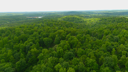 Unbelievable Hunting, And Recreational Property In Western Ripley - image 22