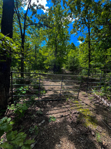 Unbelievable Hunting, And Recreational Property In Western Ripley - image 2