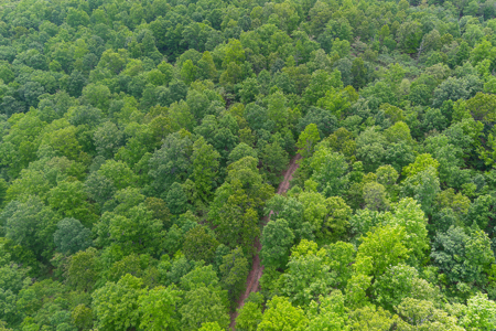 Unbelievable Hunting, And Recreational Property In Western Ripley - image 12