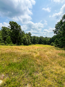 Unbelievable Hunting, And Recreational Property In Western Ripley - image 36