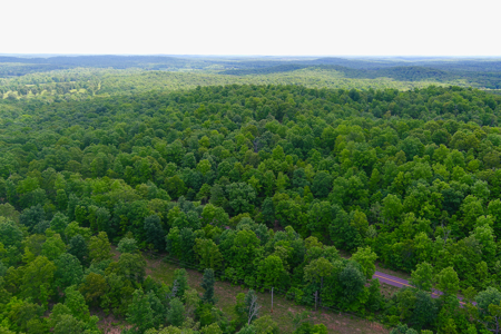 Unbelievable Hunting, And Recreational Property In Western Ripley - image 26