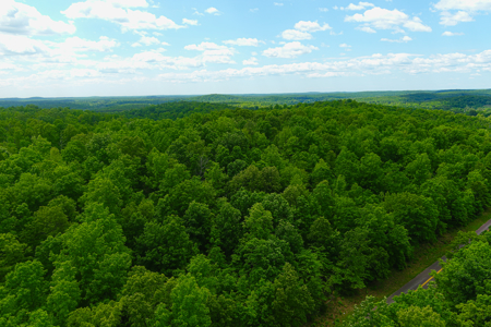 Unbelievable Hunting, And Recreational Property In Western Ripley - image 10