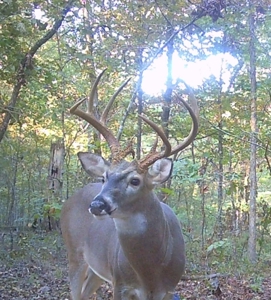 Unbelievable Hunting, And Recreational Property In Western Ripley - image 40