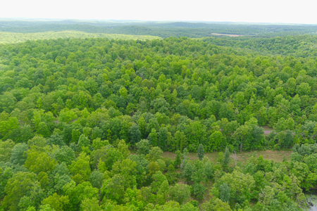 Unbelievable Hunting, And Recreational Property In Western Ripley - image 25