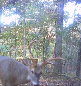 Unbelievable Hunting, And Recreational Property In Western Ripley - image 41