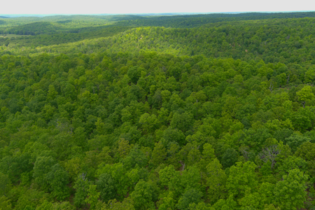 Unbelievable Hunting, And Recreational Property In Western Ripley - image 19