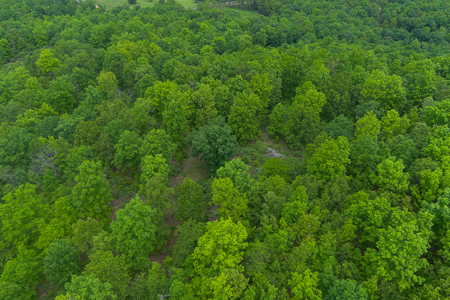 Unbelievable Hunting, And Recreational Property In Western Ripley - image 17