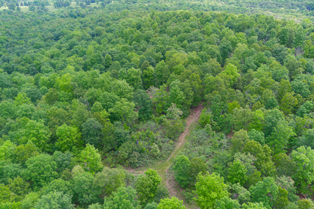 Unbelievable Hunting, And Recreational Property In Western Ripley - image 14