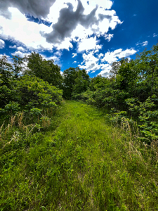 Unbelievable Hunting, And Recreational Property In Western Ripley - image 6