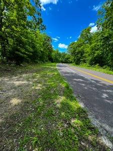 Unbelievable Hunting, And Recreational Property In Western Ripley - image 9
