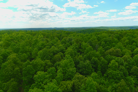 Unbelievable Hunting, And Recreational Property In Western Ripley - image 11