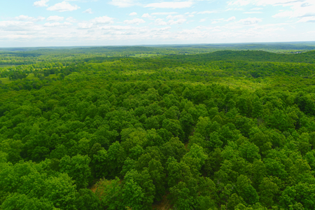 Unbelievable Hunting, And Recreational Property In Western Ripley - image 15