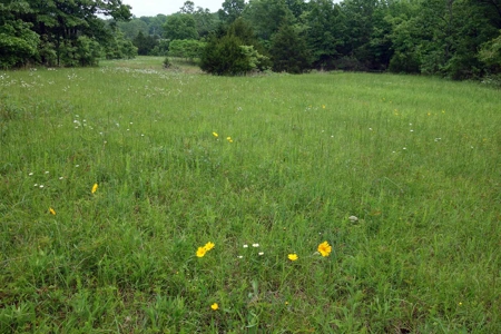 Beautiful Country Home On 9 Acres For Sale In Mtn View Missouri!! - image 35