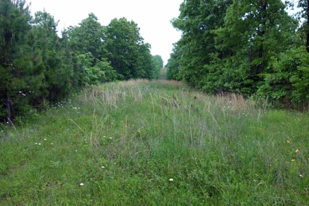 Beautiful Country Home On 9 Acres For Sale In Mtn View Missouri!! - image 34