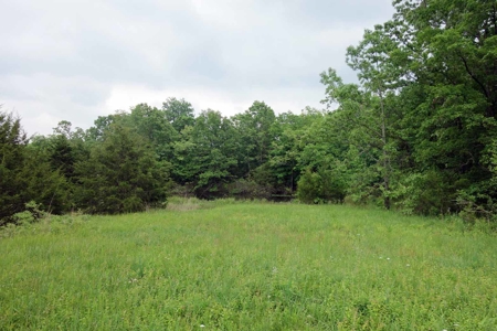 Beautiful Country Home On 9 Acres For Sale In Mtn View Missouri!! - image 37