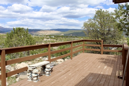 Home With A View For Sale in Cedaredge CO - image 12
