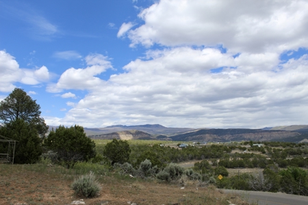Home With A View For Sale in Cedaredge CO - image 13