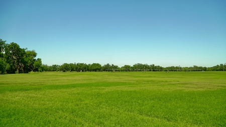 Farm For Sale In Live Oak Florida! - image 46