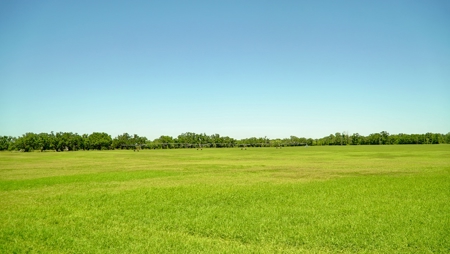 Farm For Sale In Live Oak Florida! - image 45
