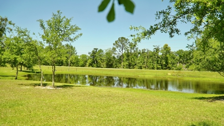 Farm For Sale In Live Oak Florida! - image 39