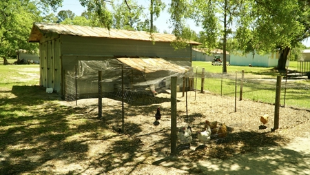 Farm For Sale In Live Oak Florida! - image 23