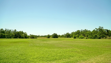 Farm For Sale In Live Oak Florida! - image 48