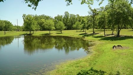 Farm For Sale In Live Oak Florida! - image 33
