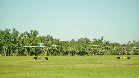 Farm For Sale In Live Oak Florida! - image 43