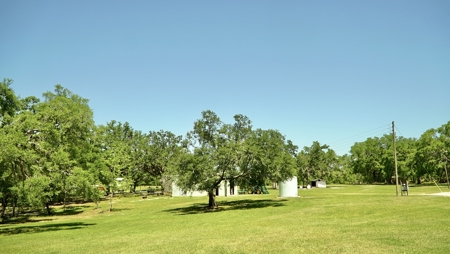 Farm For Sale In Live Oak Florida! - image 35