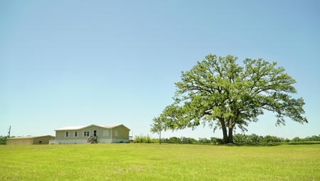Farm For Sale In Live Oak Florida! - image 1