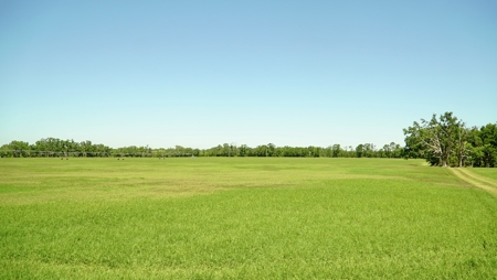 Farm For Sale In Live Oak Florida! - image 47