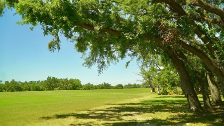 Farm For Sale In Live Oak Florida! - image 36
